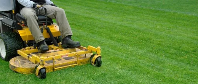 Lawn Care project by Dravis Landscaping