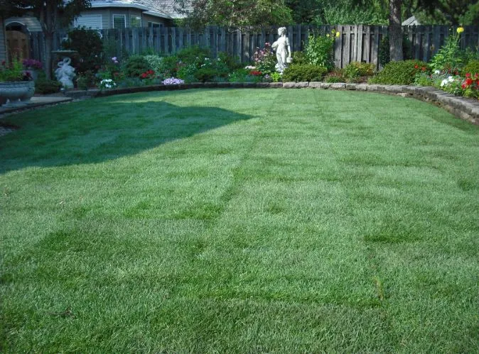 Sodding & Seeding project by Dravis Landscaping